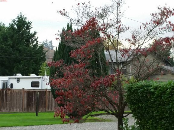 2nd image of 309 4th Ave N