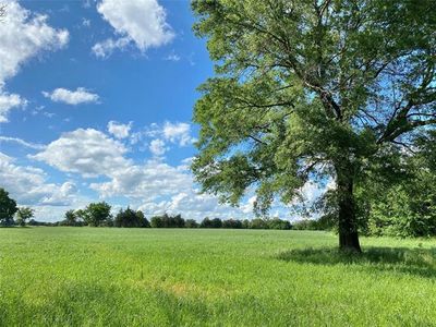 0 County Road 2310, Pickton, TX, 75471