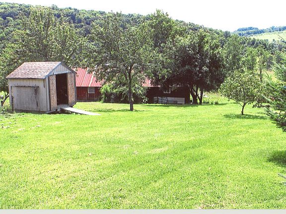 Garden shed & side lawn