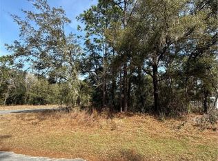 11009 N Morrell Dr, Citrus Springs, FL 34434