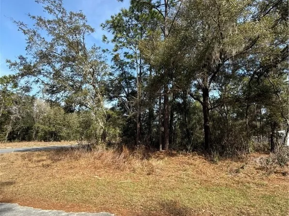 11009 N Morrell Dr, Citrus Springs, FL 34434