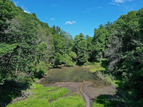 Wetlands and beaver pond fed by headwaters on this property
