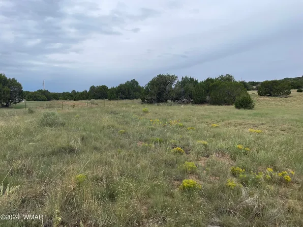 27 County Road 8206, Concho, AZ 85924