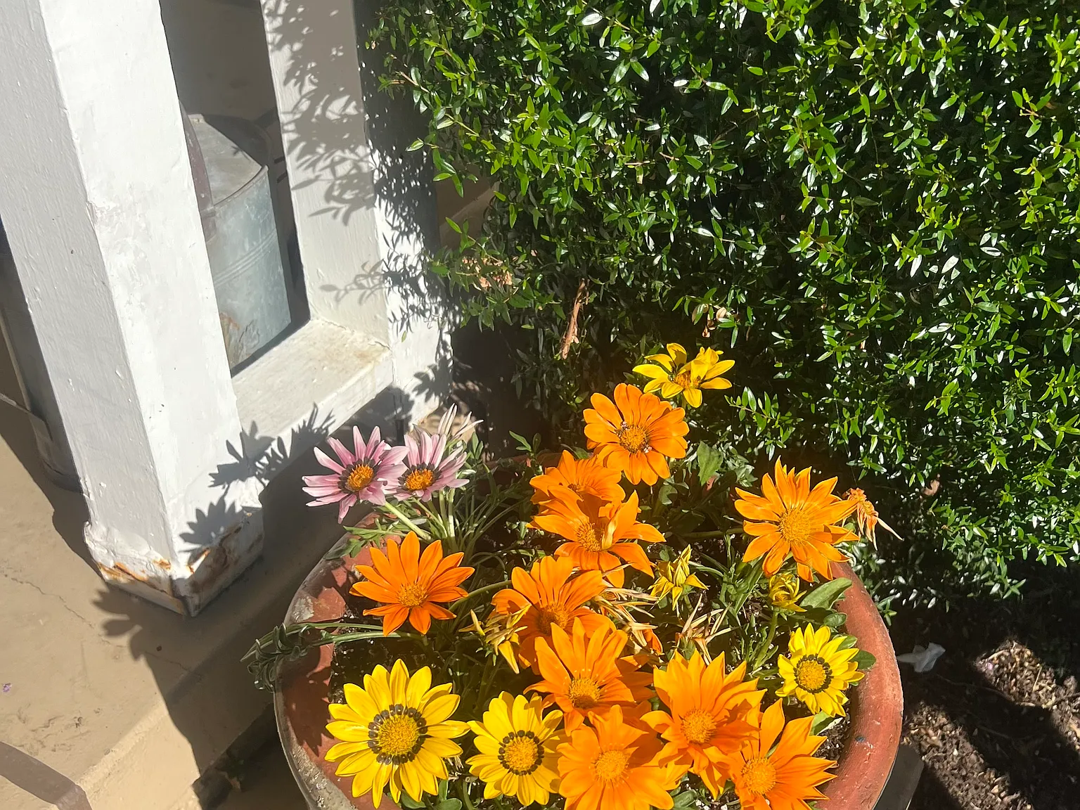 Alhambra Ave, Martinez — Photo 3