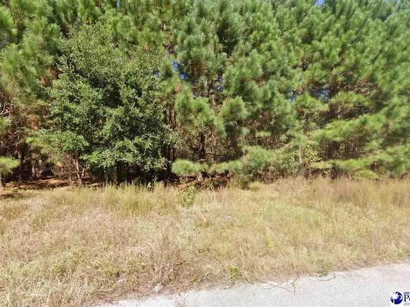 442 Pembroke Blvd, Johnsonville, SC 29555