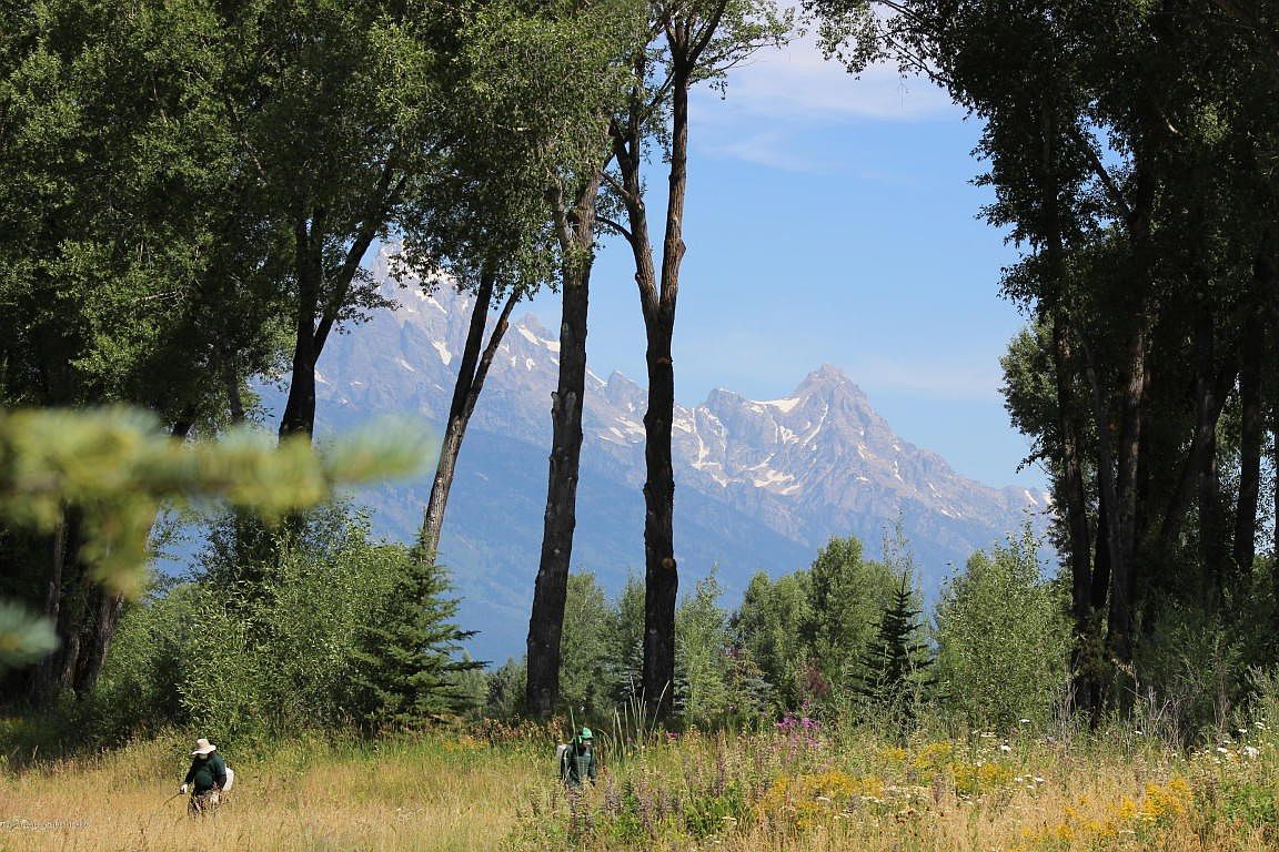 5870 Coneflower Dr, Jackson, WY 83001 | Zillow