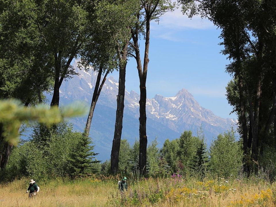 Teton Mountain Views