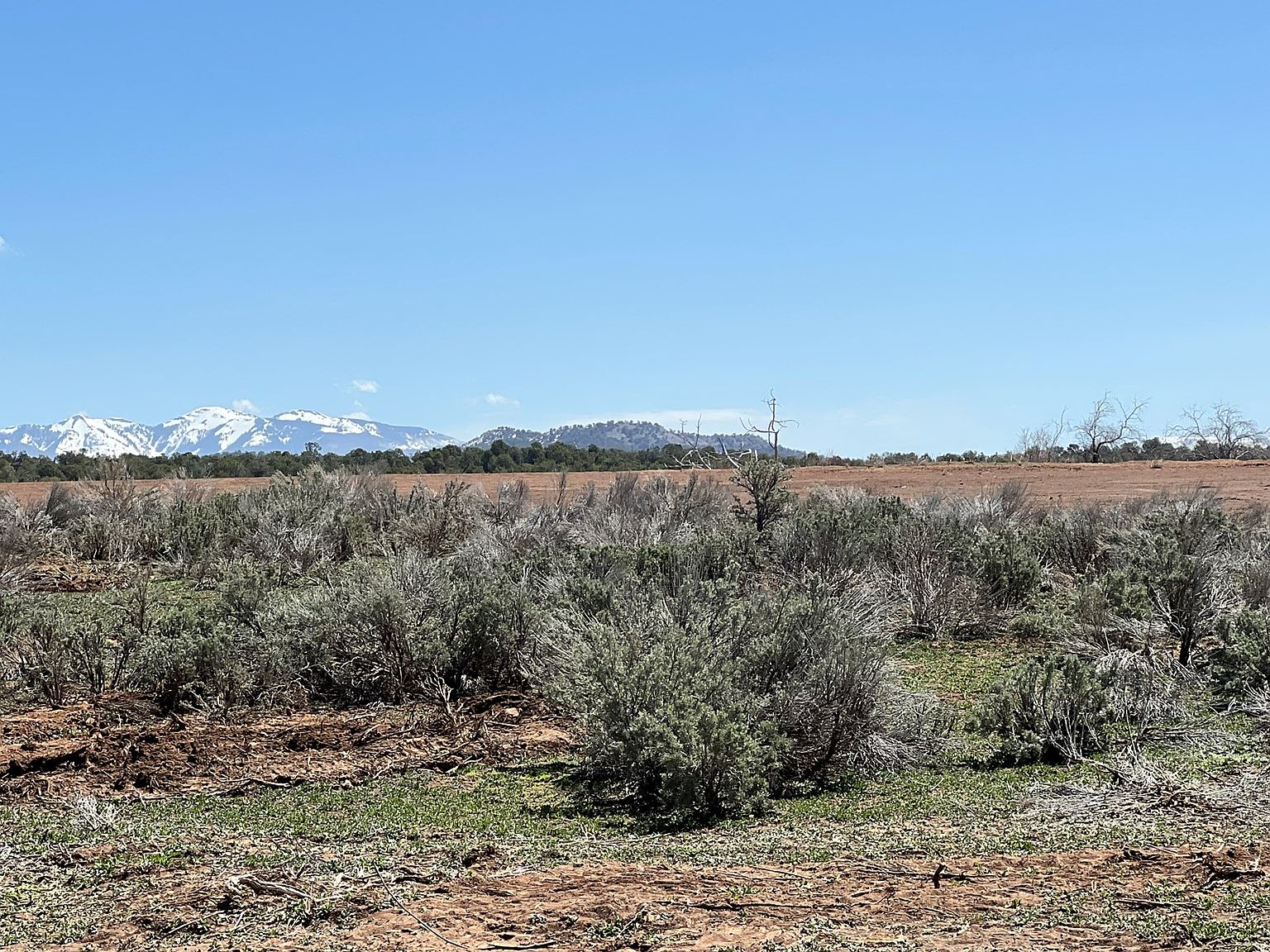 ROAD P LOT 1, Mancos, CO 81323 Zillow