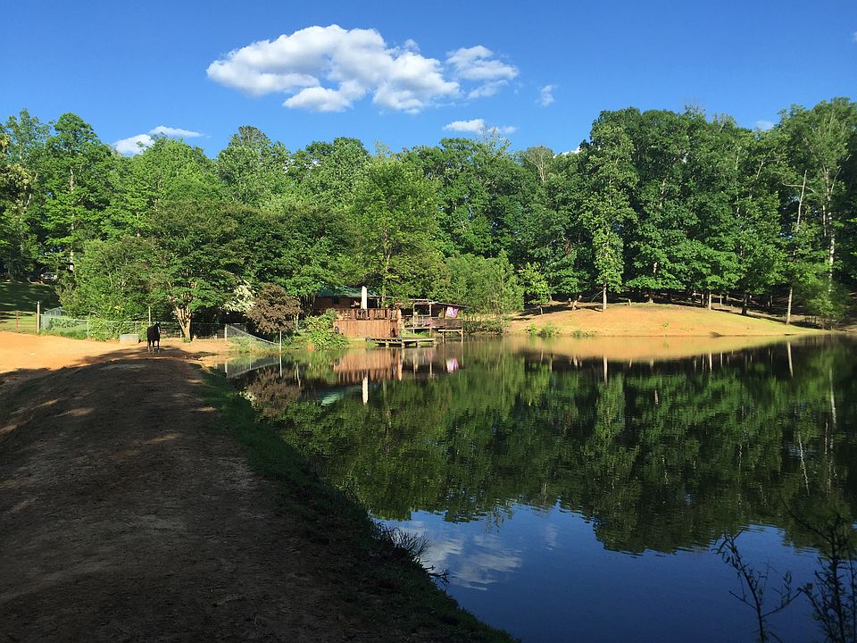 View across pond