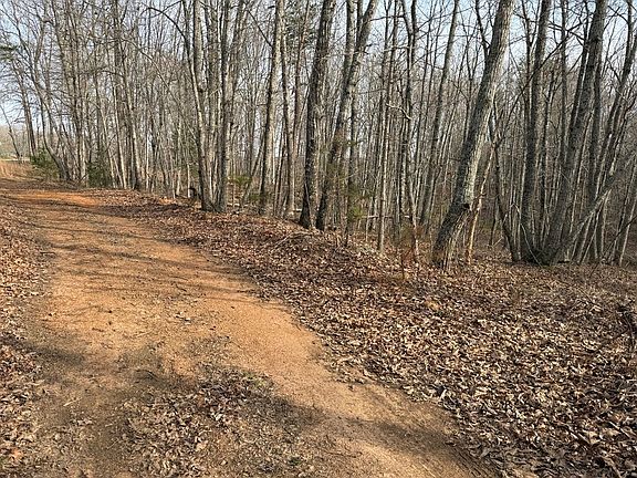 4th image of Lime Plant Rd #6