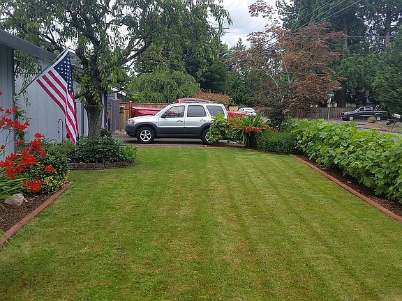 Front Yard 2