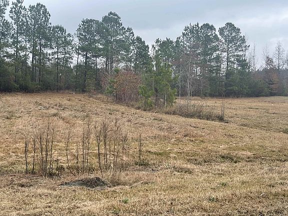 4th image of 132 Ewing Dr Lot 6