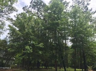 3881 Timber Stream Dr, Southport, NC 28461