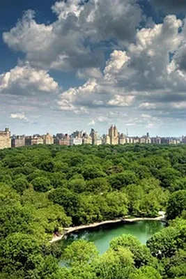 Rented by Plaza Real Estate Group | media 6