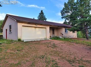 146 Big Horn Ln, Florissant, CO 80816