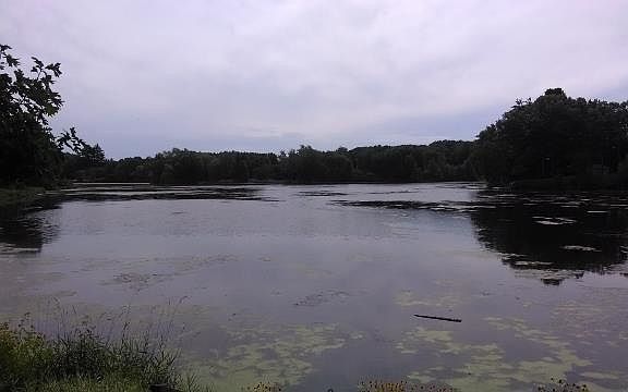 3rd image of N4106 Fish Haven Ct