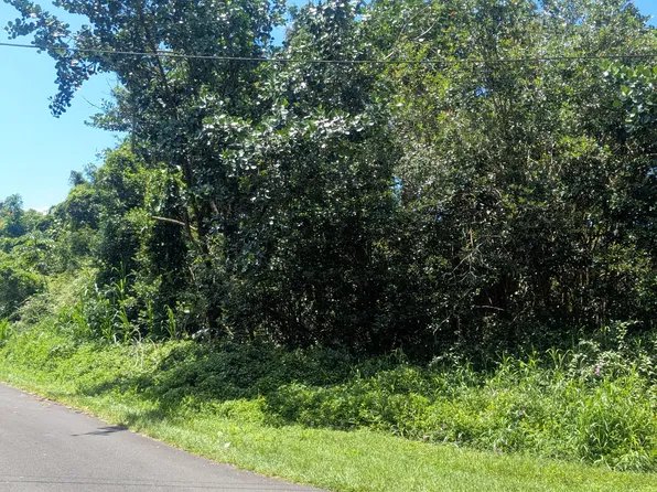Aweoweo St Lot 9, Pahoa, HI 96778