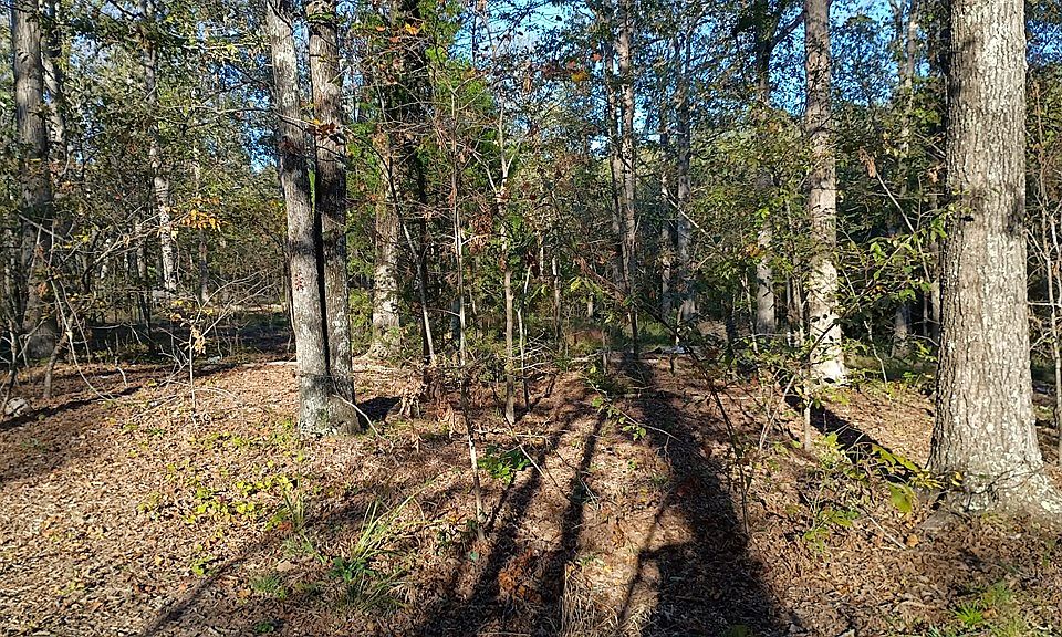 2nd image of 102 Hill Top Rd