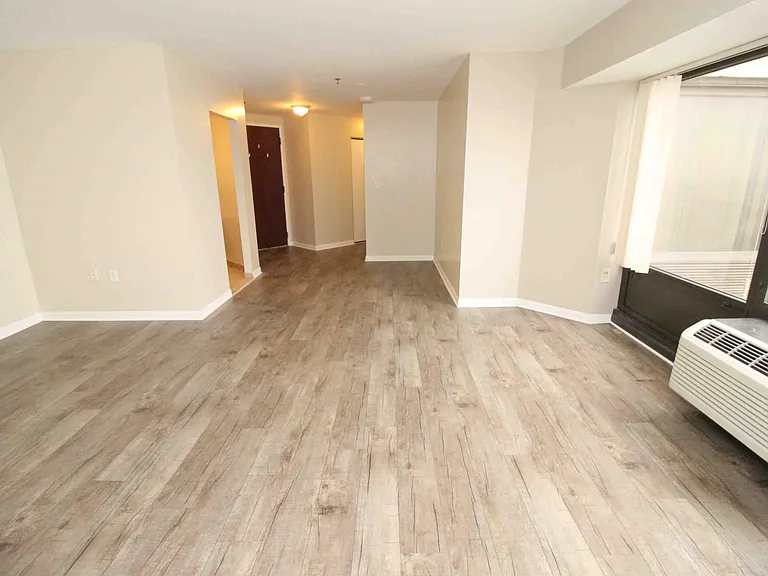 1001 W Jefferson Ave #300/29D — Photo 18