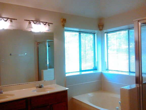 master bathroom with double vanity, garden tube, separate shower