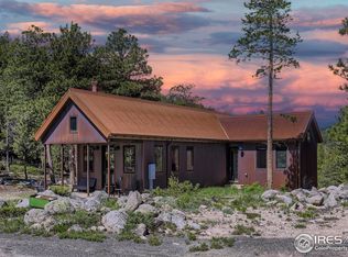 509 Shady Hollow Rd, Nederland, CO 80466