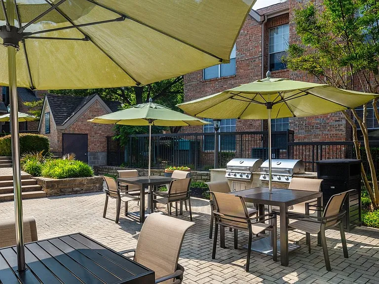 BBQ grills and picnic tables