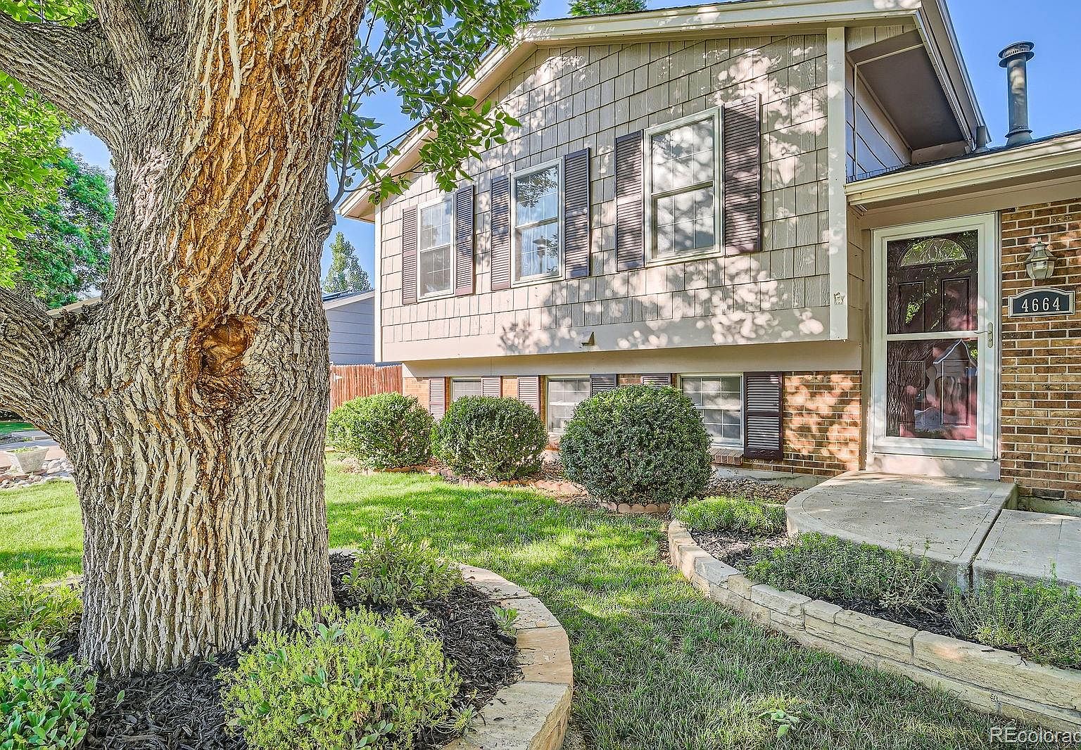 小物 neighborhood srl 252SZNH-JKM02_01_221x221@2x.