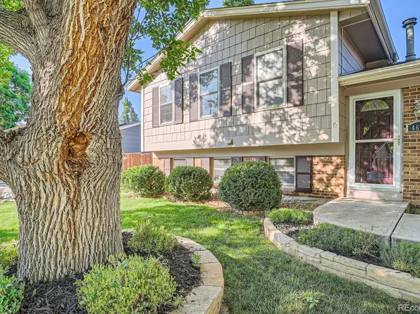 4664 S Zang Street, Morrison, CO 80465