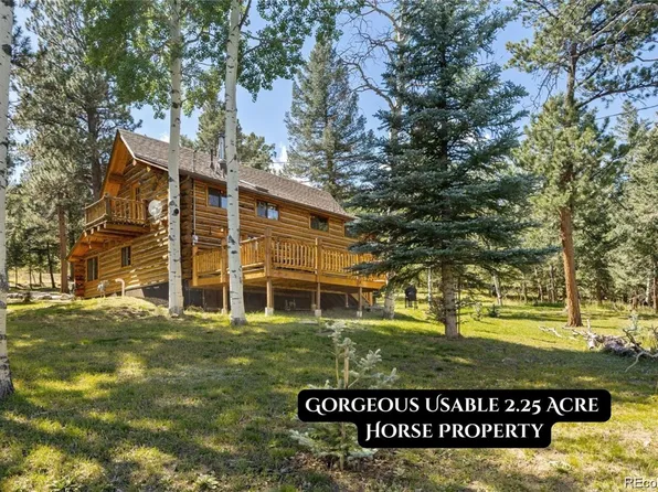 1889 Burland Drive, Bailey, CO 80421