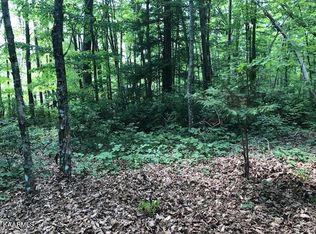 Cove Pl #2, Monterey, TN 38574