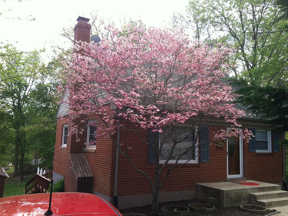1st image of 3109 Bradford St
