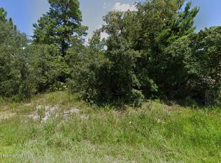 10391 Fulton Ave, Weeki Wachee, FL 34613