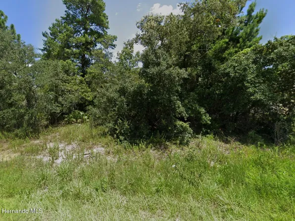 10391 Fulton Ave, Weeki Wachee, FL 34613