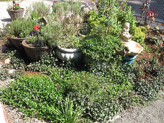 Front Yard Water Feature