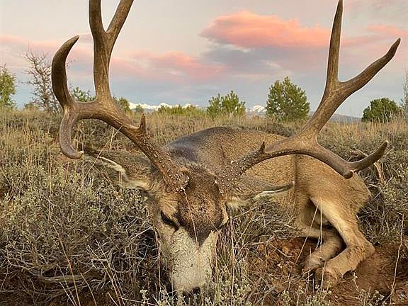 3rd image of 000 Akati Gulch Road #Majestic Elk Ranch 960