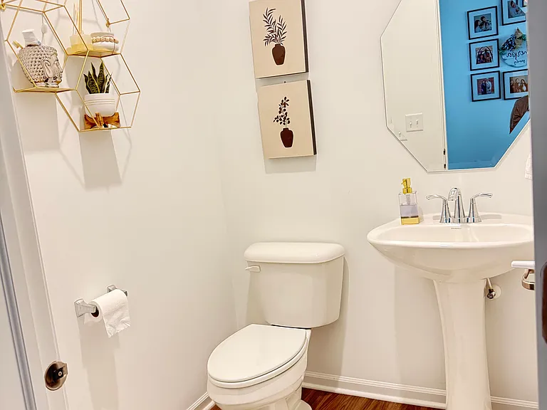 First floor 1/2 bathroom (to the first left as you enter from main entry door)