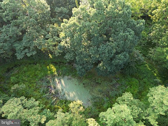 5th image of 203 Graces Cabin Rd