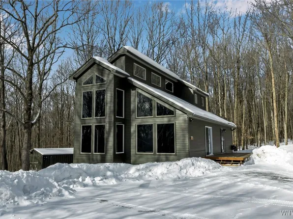 8020 Luce Rd, Caneadea, NY 14717