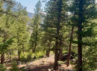 0 Alvarado Road, Georgetown, CO 80444