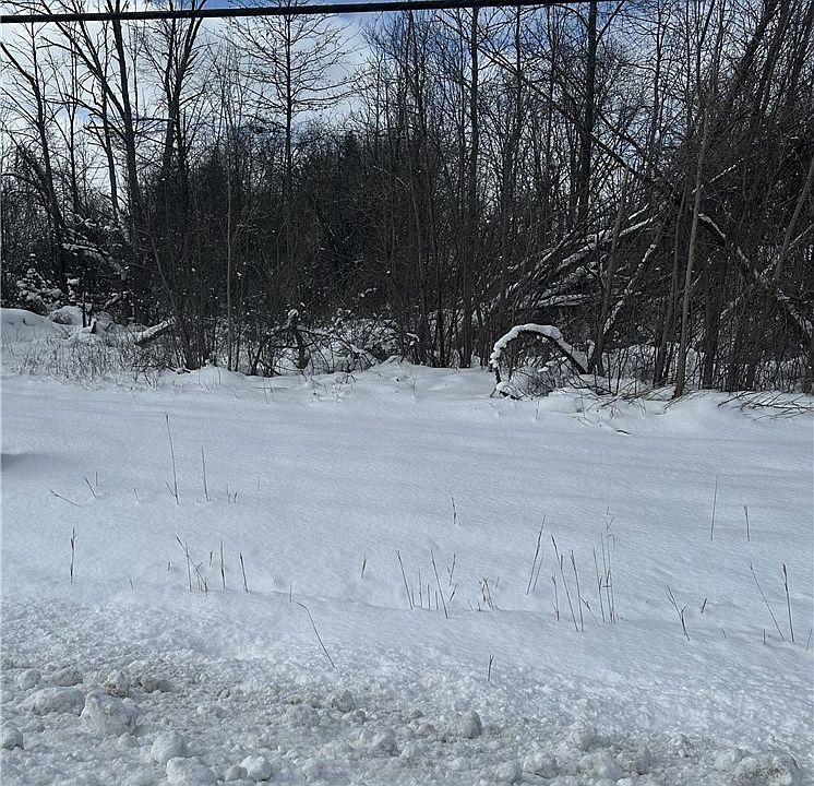 2nd image of Creek Rd