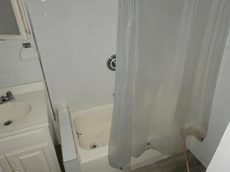 3009 3rd Ave #3 — Photo 7