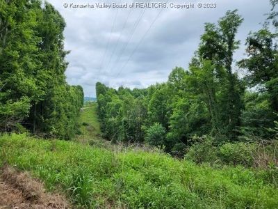 183 Vicars Rdg, Gandeeville, WV, 25243