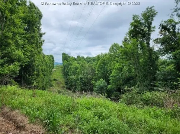 183 Vicars Rdg, Gandeeville, WV 25243