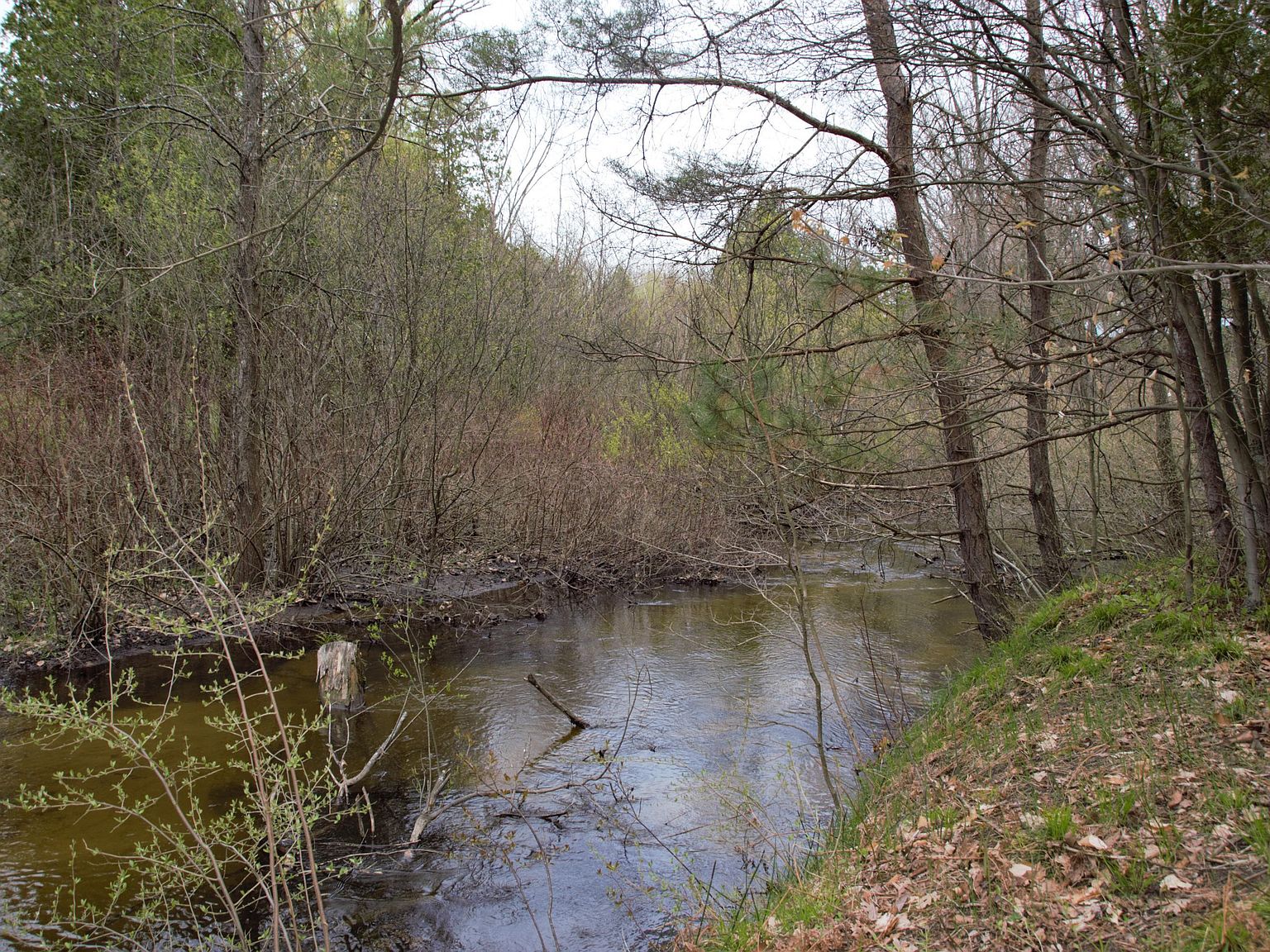 3754 White River Dr, Hesperia, MI 49421 Zillow