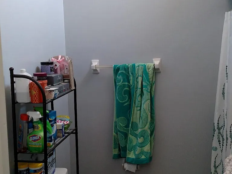 1228 Stone Greene Ct — Photo 3