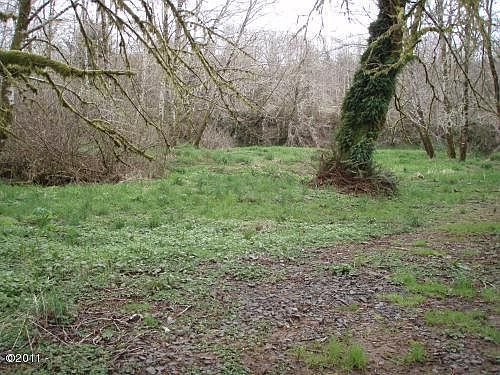 5th image of 0 Siletz Hwy