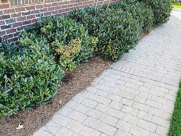 Custom stamped concrete 