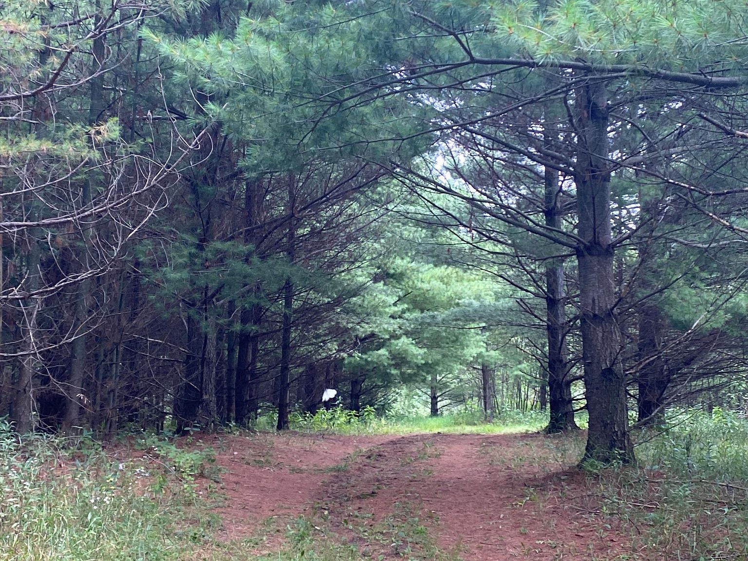 Xxx Highway 18, Finlayson, MN 55735 Zillow