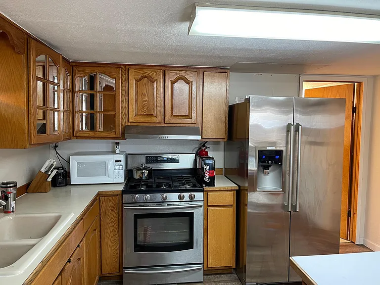 Stainless appliances