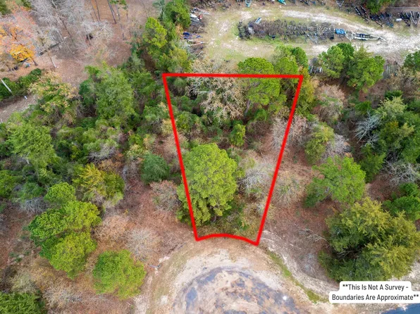 450 Charlya Dr, Scroggins, TX 75480